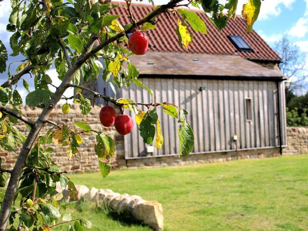 Plum Tree Cottage Witton le Wear Extérieur photo